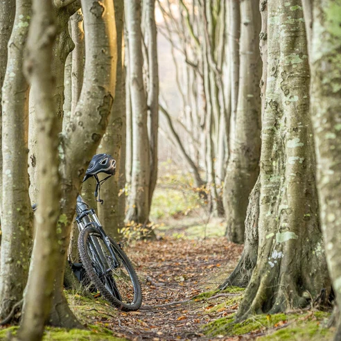 Fahrrad