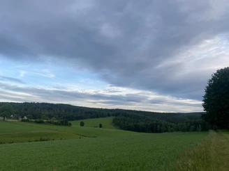 Zankheide
