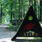 Oberholz Großpösna
