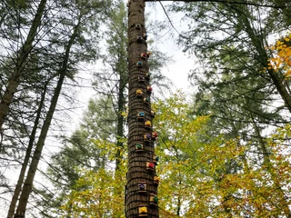 Kletterwald Nord Kletterwald Nord