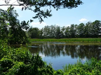 Rundweg 2