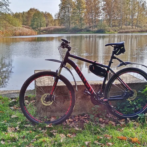 Fahrrad am Waldsee im Neisseland
