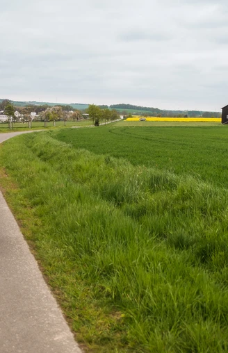 Alte Kleinbahnstrecke - heute Radweg bei Helbigsdorf