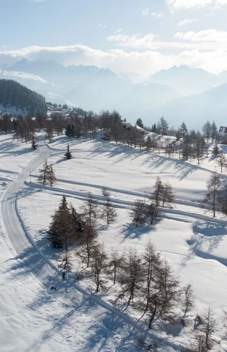 Langlauf auf der Riederalp in der Aletsch Arena