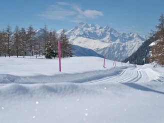 Langlauf auf der Riederalp in der Aletsch Arena