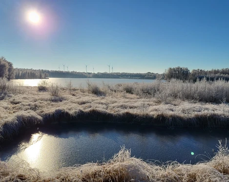 Naturschutzgebiet Theikenmeer, Werlte - Blick auf Meer ©Naturpark Hümmling.jpg