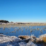 Naturschutzgebiet Theikenmeer, Werlte - Wehmer Dose ©Naturpark Hümmling (2).jpg