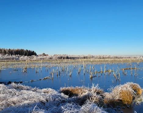 Naturschutzgebiet Theikenmeer, Werlte - Wehmer Dose ©Naturpark Hümmling (2).jpg