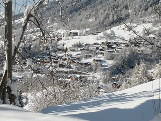 Winterwanderung Fiesch - Fieschertal und zurück