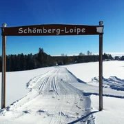Loßburg Schömbergspur - Start