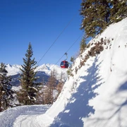 Schlitteln Rosswald