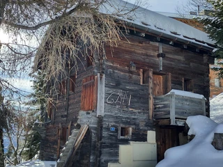 Gädi im Winter