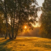 Golfplatz Freudenstadt im Gegenlicht