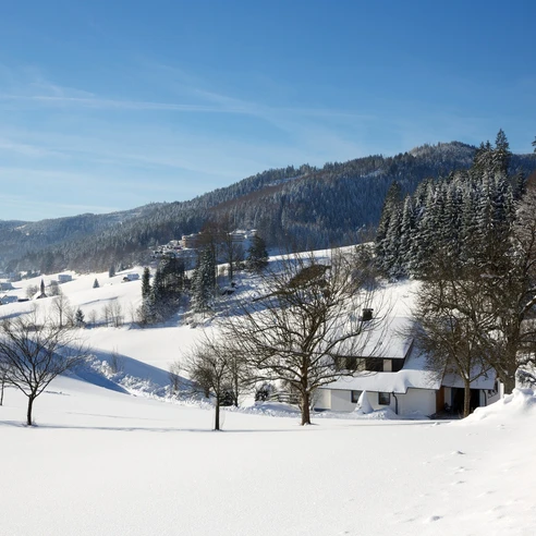 Blick auf Obertal