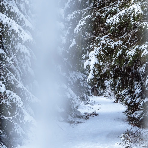 Winterwanderung