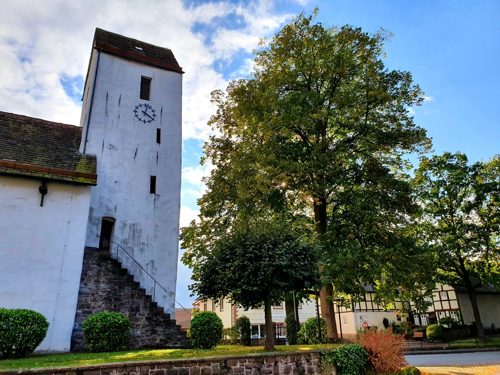 Godelheimer Kirche St.Johannes Baptist.jpg Weiße Kirche und Baum am rechten Bildrand