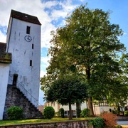 Godelheimer Kirche St.Johannes Baptist.jpg Weiße Kirche und Baum am rechten Bildrand