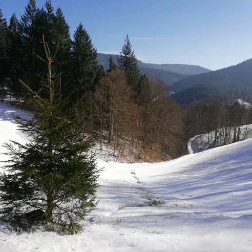 Verschneite Winterlandschaft