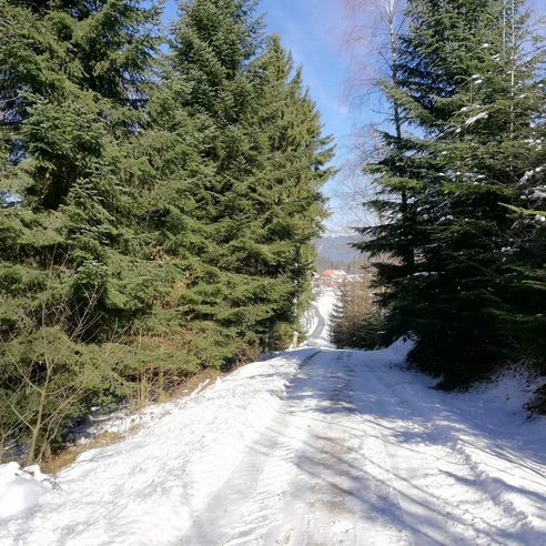 Winterwanderweg im Sonnenschein