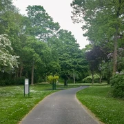Weg durch Park an dem eine Klimmzugstange steht.