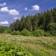 Natur im Schwarzbachtal Blick in die Landschaft im SchwarzbachtalView of the landscape in the SchwarzbachtalUitzicht op het landschap in de Schwarzbachtal