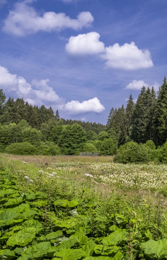 Natur im Schwarzbachtal Blick in die Landschaft im SchwarzbachtalView of the landscape in the SchwarzbachtalUitzicht op het landschap in de Schwarzbachtal