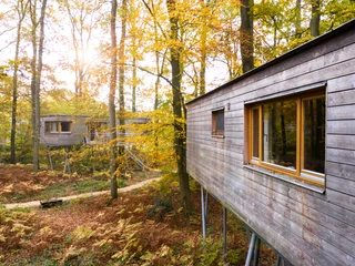 Baumhäuser des Resort Baumgeflüster Baumhäuser des Resort Baumgeflüster