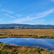 Großes Torfmoor Weitläufige Moorlandschaft mit blauem Himmel und Wolken, spiegelnde Wasserflächen im Vordergrund.