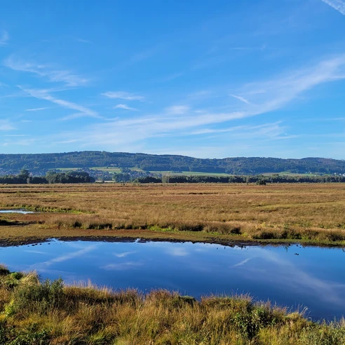 Großes Torfmoor Weitläufige Moorlandschaft mit blauem Himmel und Wolken, spiegelnde Wasserflächen im Vordergrund.