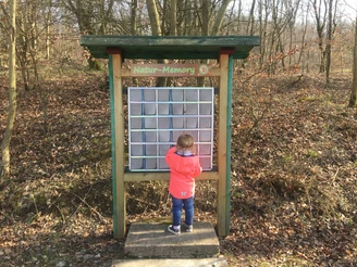 Natur Memory auf dem Naturerlebnispfad