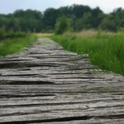 Bohlenweg am Moorerlebnispfad im Huvenhoopsmoor Bohlenweg Moorerlebnispfad