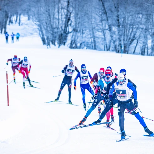 Wettkampf, Schnee, Wald, Loipe