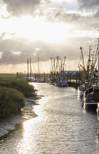 Kutterhafen an der Wurster Nordseeküste; Cuxland