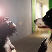 DoggyDay im Neanderthal Museum Ein Hund und eine Schimpansenfigur stehen sich im Neanderthal Museum aufmerksam gegenüber.