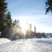 Obertal-Buhlbach Loipe