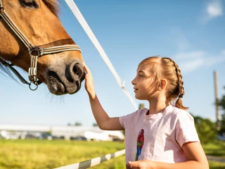 Reithotel Eibenstock - Reiturlaub
