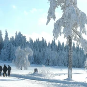 Wandern an der Hochstraße