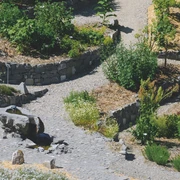 Gruppenerlebnisse-Betriebsbesichtigungen-Theilers Napfkraeuter-Kraeutergarten-Hergiswil-Willisau-WT-5.jpg Theilers Napf-Kräuter