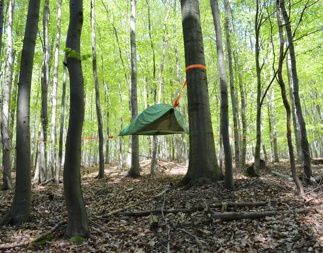 Baumzelt im Wald Baumzelt im Wald
