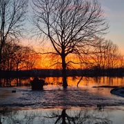 Elstertrebnitz - Gemeinde in Sachsen