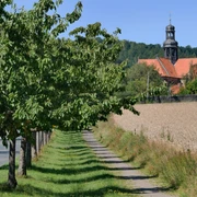 Hildesheim-Neuhof: Baum-Allee zum Kloster Marienrode. Kloster Marienrode