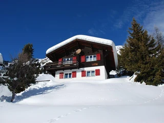 Winter 3