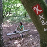 Unterwegs auf dem Kellerwaldsteig bei Bad Zwesten