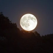 Vollmond