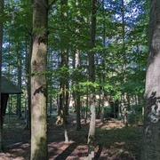 Landgrafenborn
