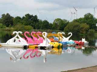 Wasserspiegelung von Tretbooten in Schwanenform am Salzgittersee