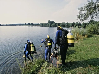 Taucher am Salzgittersee