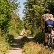 Naturnahe Wege durch die Heide