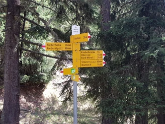 Wanderung von der Riederalp über die Knebelbrücke nach Blatten