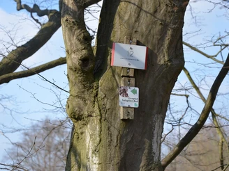 Ausschilderung Geopfad Salzgitter-Bad